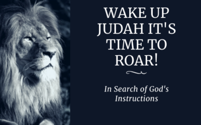 Wake Up Judah It’s Time To Roar!