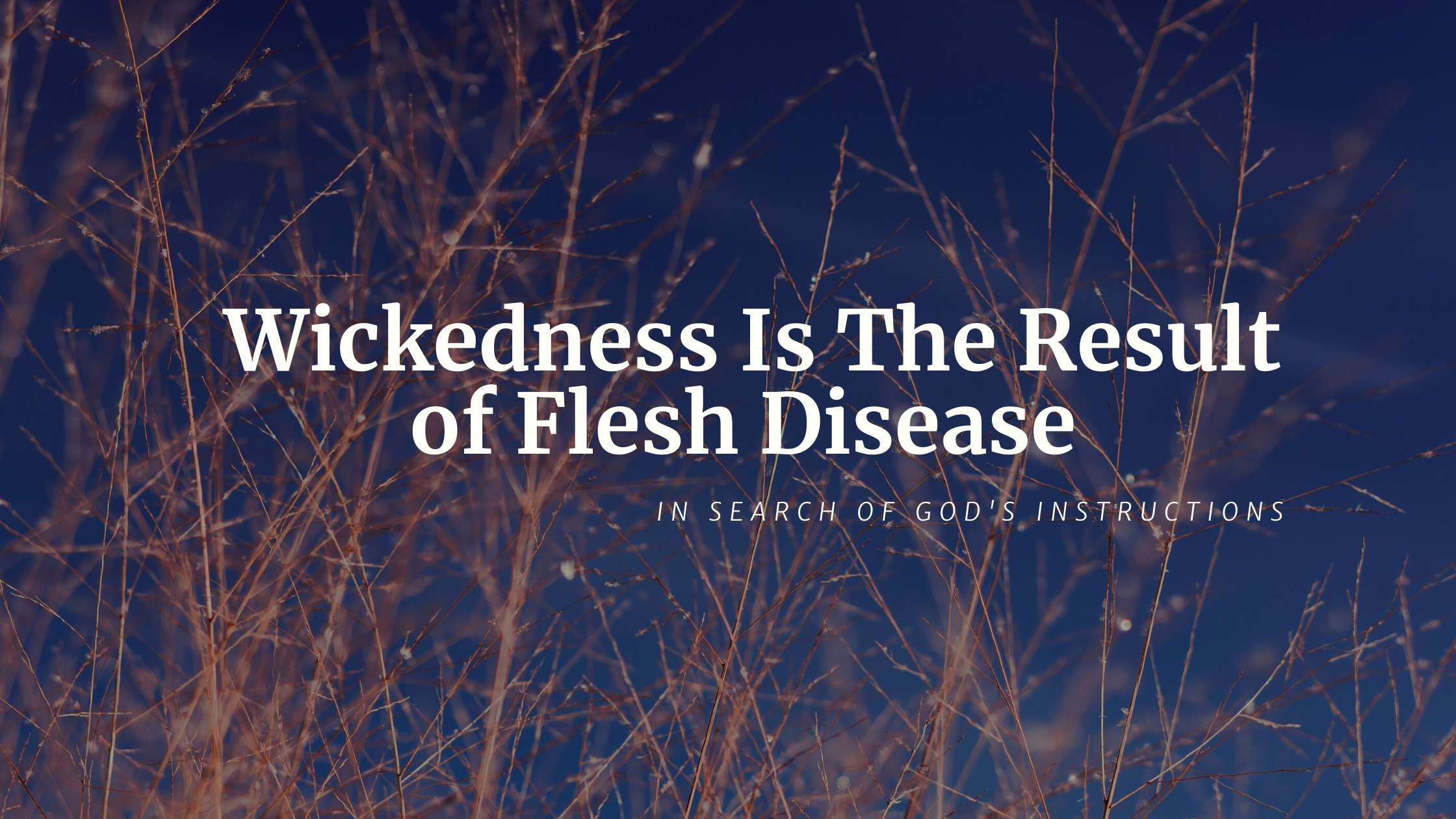 Wickedness Is The Result Of Flesh Disease